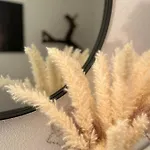 Ferienwohnung Natur